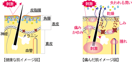 オプティマルの潤い効果